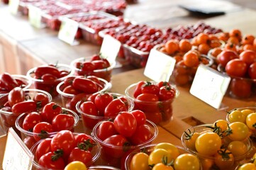 新鮮なフルーツトマト