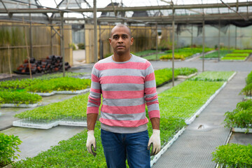 Obraz premium Confident successful Hispanic owner of greenhouse indoors