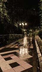 walk in the park with yellow light