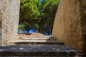 an old stone staircase leading up to the pines and blue sky