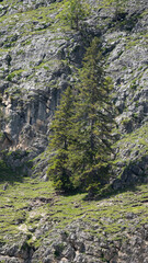 Alcuni Scatti delle Dolomiti