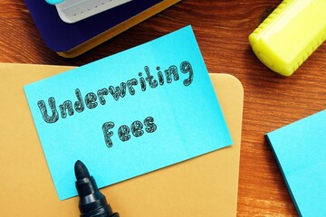 Conceptual photo about Underwriting Fees with written text.