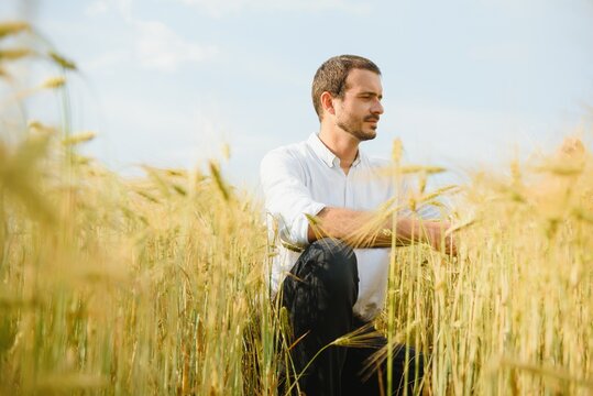 Happy Young Farmer Or Agronomist Inspecting Wheat Plants In A Field Before The Harvest. Checking Seed Development And Looking For Parasites With Magnifying Glass. Organic Farming And Food Production