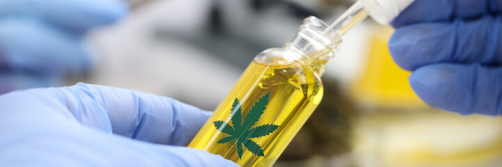 Gloved pharmacist opens bottle hemp oil research. Hemp-based clinical trials. Products containing...