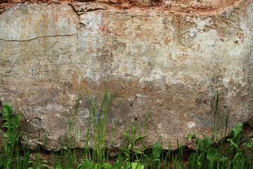 The grass and cement wall