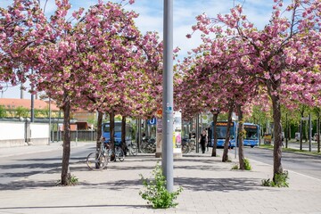 Fototapete bei efototapeten.de bestellen   