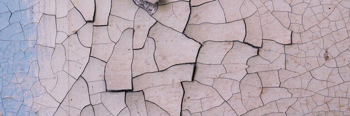 Obraz premium Peeling paint on the wall. Panorama of a concrete wall with old cracked flaking paint. Weathered rough painted surface with patterns of cracks and peeling. Wide panoramic texture for grunge background