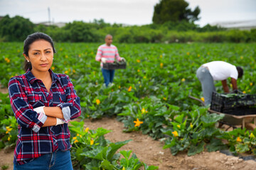 Latin american female horticulturist on field during zucchini harvest