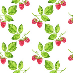 watercolor seamless pattern with berries of raspberry