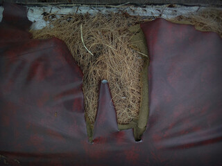 My old red car seats