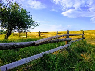 Fototapeta premium wooden fence in field