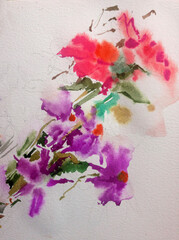 Abstract bright colored decorative background . Floral pattern handmade . Beautiful tender romantic bouquet of summer aster flowers , made in the technique of watercolors from nature.