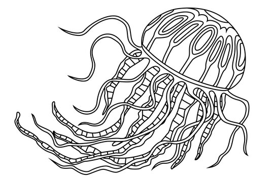 Coloring page with jellyfish. Vector illustration. Antistress, meditation for kids and adults
