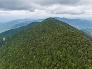 日本百名山、新緑の恵那山を上空から眺めて