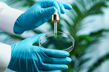 Petri dishes and pipette with green oil liquid. Laboratory concept.