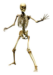 3D Rendering Human Skeleton on White