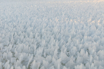 The texture of the snow.
