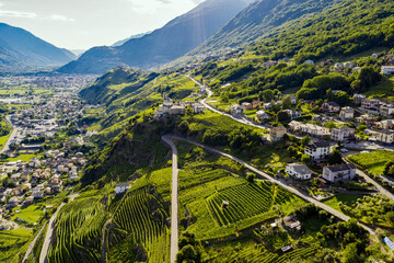 Valtellina (IT) - vineyards and terraces in the Poggiridenti area on the panoramic wine route
