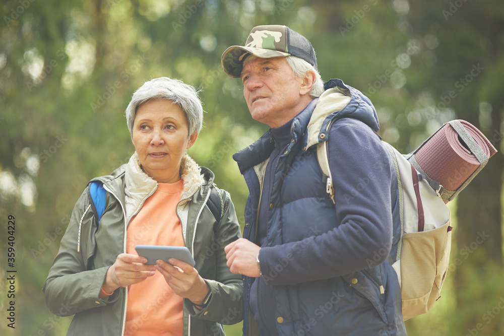 Wall mural waist up portrait of active senior couple using navigation app via smartphone while enjoying hike in