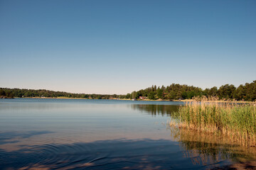 lake in the summer, stockolm, värmdö,sweden