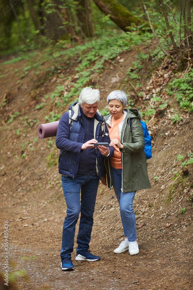 Wall mural vertical full length portrait of active senior couple using navigation app via smartphone while enjo