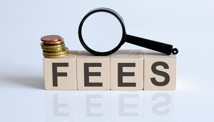 The FEES sign on a wooden block on white background with coins and magnifier