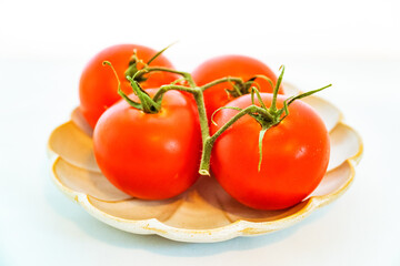 tomatoes on the vine