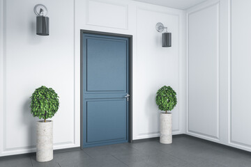 Fototapeta na wymiar Clean home interior with two plant