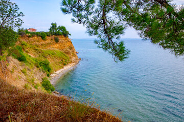 Obraz premium View on the bay trough pine tree, artificial reef