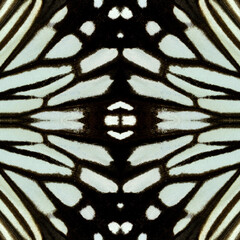 Close up of blue and black background texture made of butterfly wing pattern