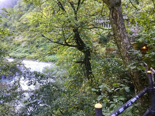 Fototapeta premium Scenery along the Kurobe River in the Kurobe Gorge