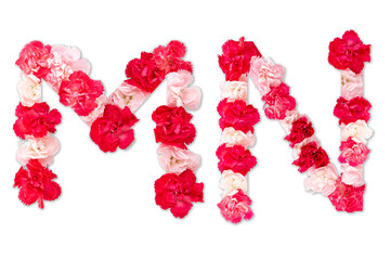 flower font alphabet M N set (collection A-Z), made from real Carnation flowers pink, red color with paper cut shape of capital letter. flora font for text, typography decoration isolated on white