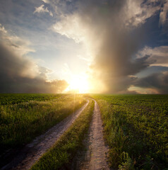 The pathway in the middle of the green field on the sunset