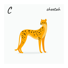 Cute cheetah - cartoon animal character. Vector illustration in flat style isolated on gray background.