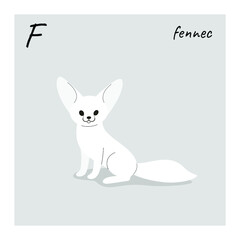 Cute fennec fox - cartoon animal character. Vector illustration in flat style isolated on gray background.