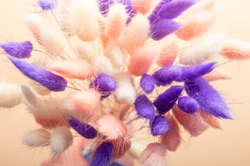 Fototapeta na wymiar Home Decor from Rabbit Tail Grass Dried Flowers Bouquet, flat lay, copy space