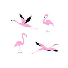 Cartoon flamingo icon set. Cute bird in different poses. Vector illustration for prints, clothing, packaging, stickers.