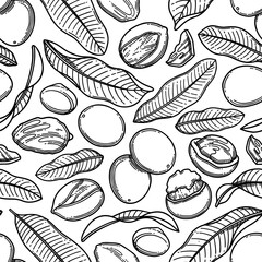 Seamless pattern of graphic shea plants. Vector design