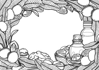 Graphic oil bottles surrounded by shea plants and butter.