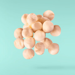 Fresh tasty cheese, high quality image