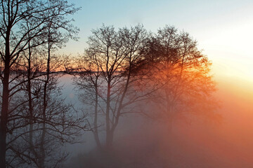Obraz premium Morning with thick fog over the river. Dawn on a summer morning.