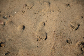 wet sands on the beach close up