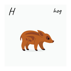 Cute hog - cartoon animal character. Vector illustration in flat style isolated on gray background.