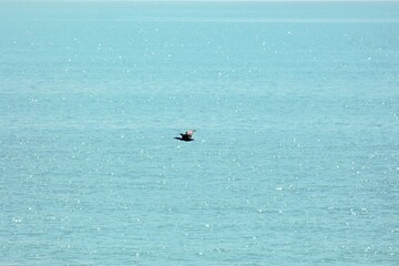 Obraz premium Lebedivka, obwód odeski, Ukraina