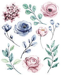Flowers set, watercolors blue and pink rose and leaves. Hand painting. Isolated on white background.