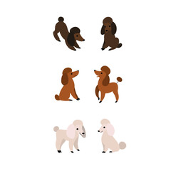 Poodle icon set. Different type of  poodle. Vector illustration for prints, clothing, packaging, stickers.