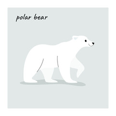 Cute polar bear - cartoon animal character. Vector illustration in flat style isolated on gray background.