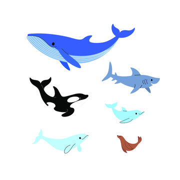 Icon set of sea creatures - whale, killer whale, shark, dolphin, sea lion. Flat design illustration in cartoon style.