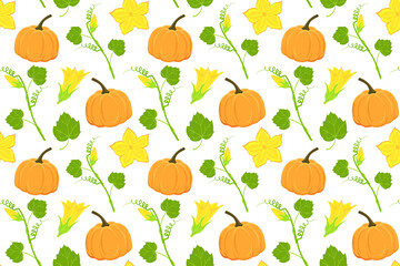 Hand drawn ripe pumpkin and flowers seamless pattern. Vector pumpkin illustration for autumn banner, fabric, textile,  thanksgiving, recipes, menus, and harvest festivals. 