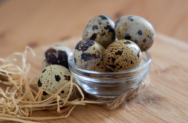 Obraz premium quail eggs on a light beige background on a wooden board